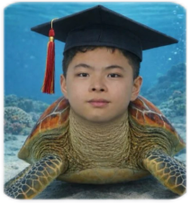 海龟博士