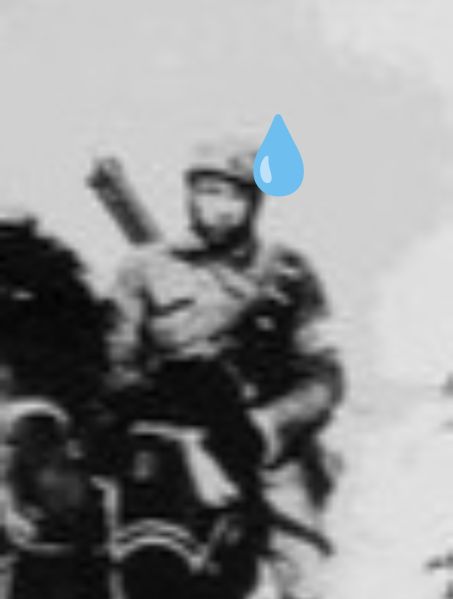 文件:续范亭流汗.jpg