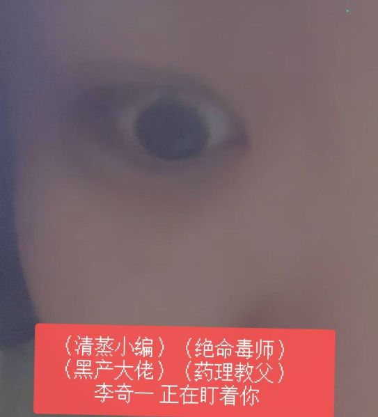 文件:李奇一雌二醇玉照1.jpg