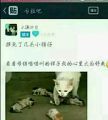 2026年5月31日 (日) 06:22版本的缩略图