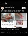 绝命毒师2