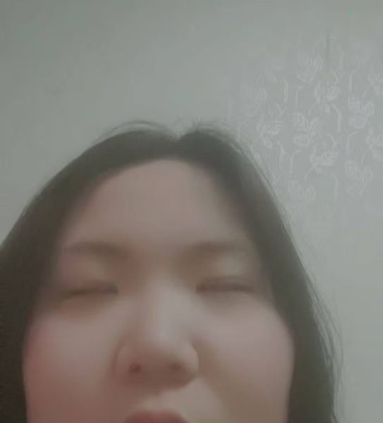 文件:李奇一雌二醇玉照11.jpg