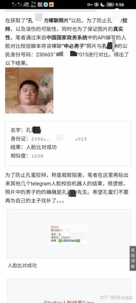 文件:八代恶维确认结果.jpg